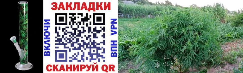Наркота Якутск A PVP  АМФ  МАРИХУАНА  omg ONION  ГАШИШ 